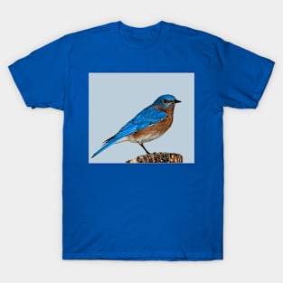 cute blue bird perched on wood T-Shirt